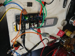 whole amp1